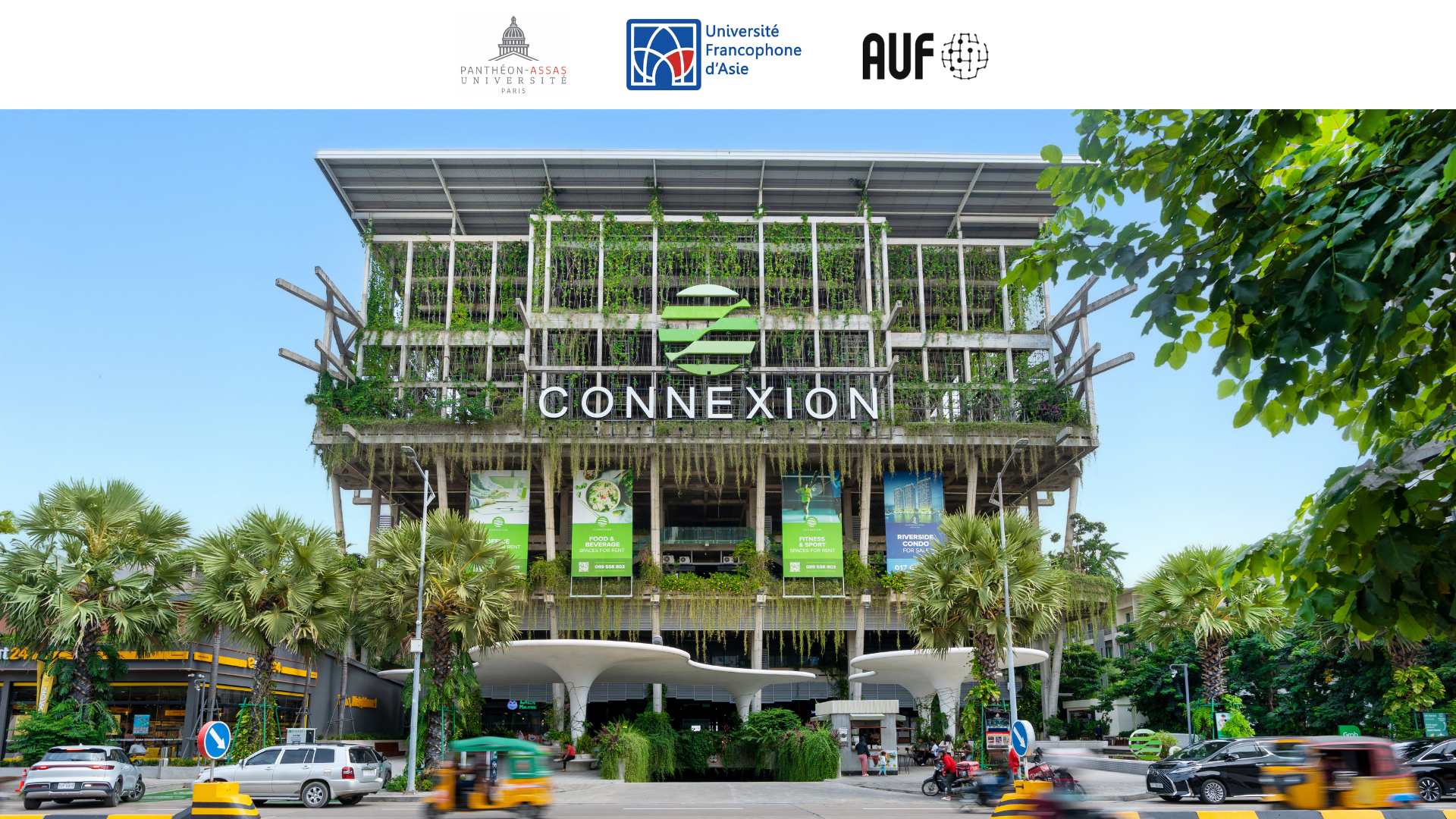 ocic-news-universit-paris-panth-on-assas-launches-a-licence-in